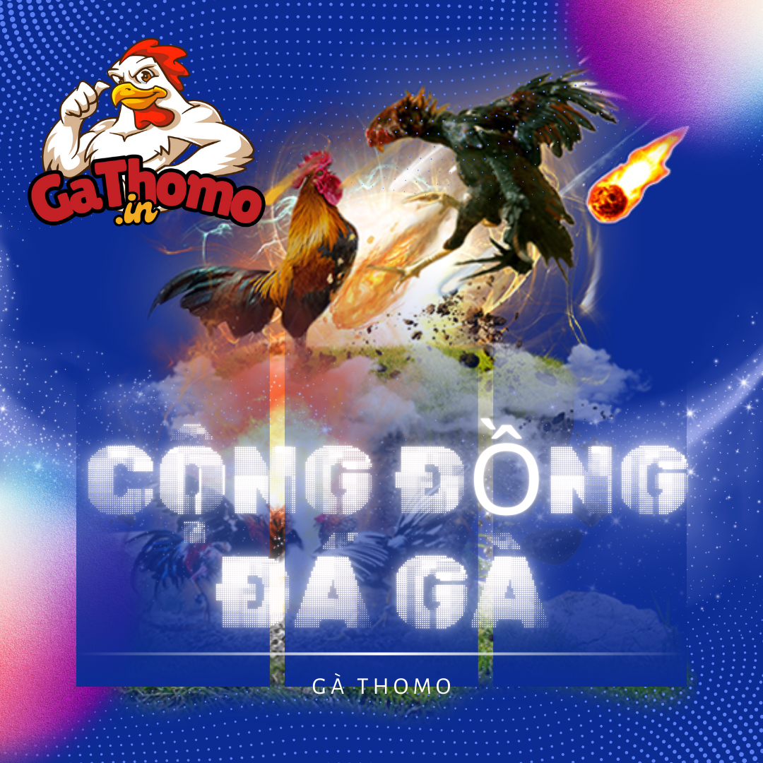 cộng đồng đá gà thomo