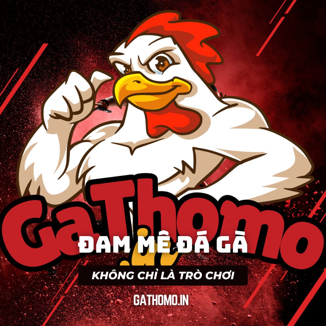 Đam mê đá gà – Không chỉ là trò chơi