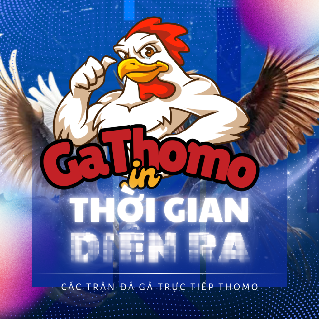 các trận đá gà trực tiếp Thomo