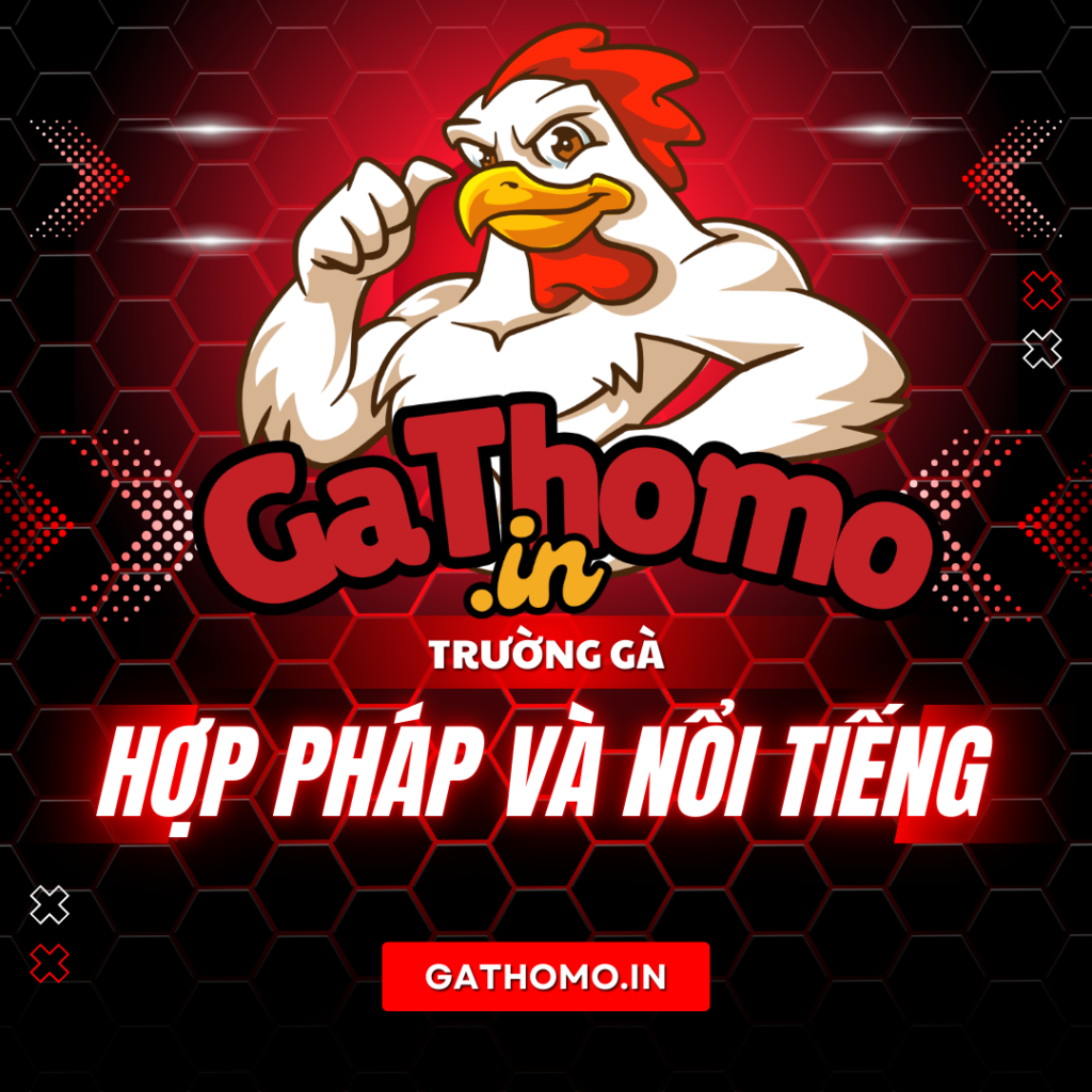 Các trường gà nổi tiếng - Đấu trường đỉnh cao của giới đá gà