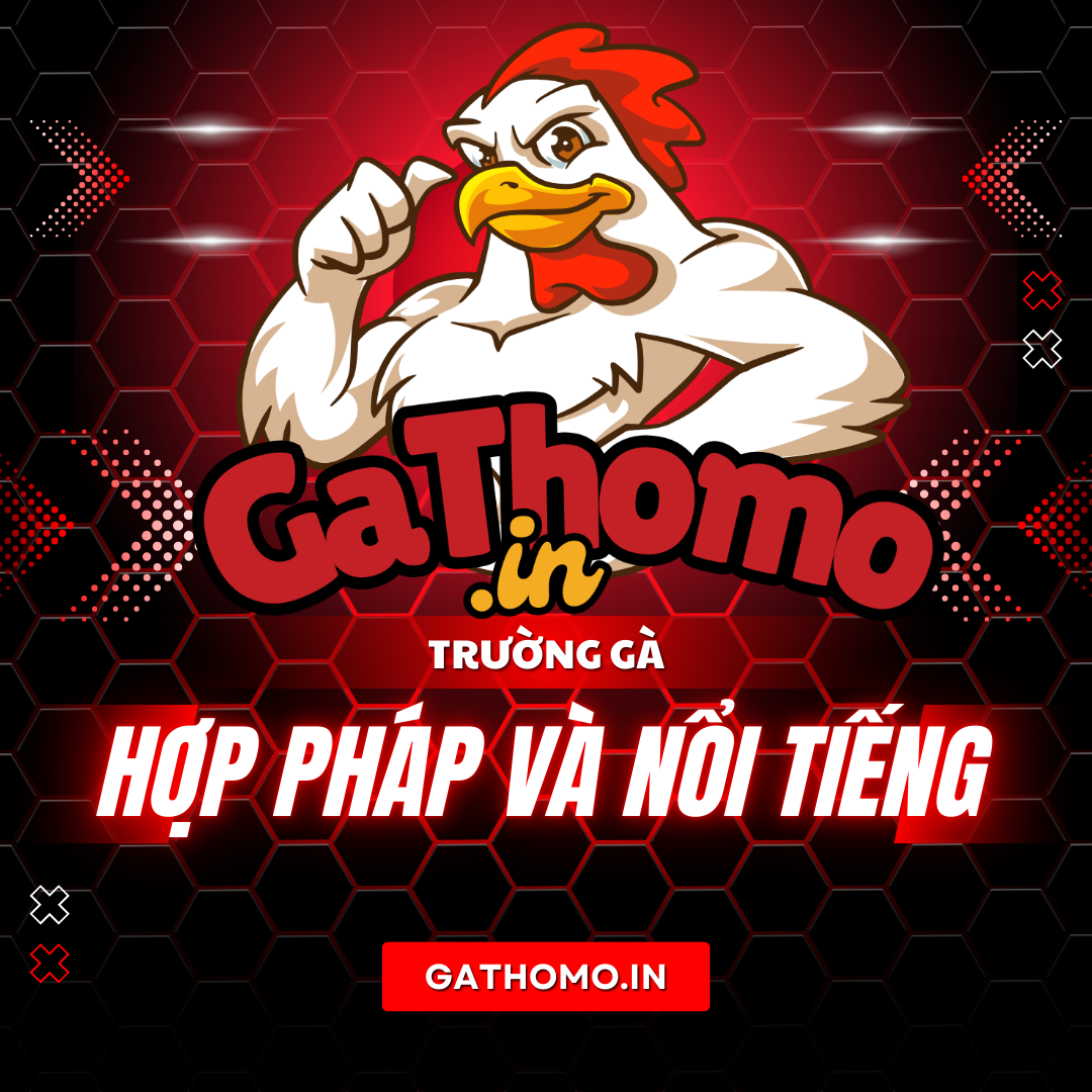 Các trường gà nổi tiếng - Đấu trường đỉnh cao của giới đá gà