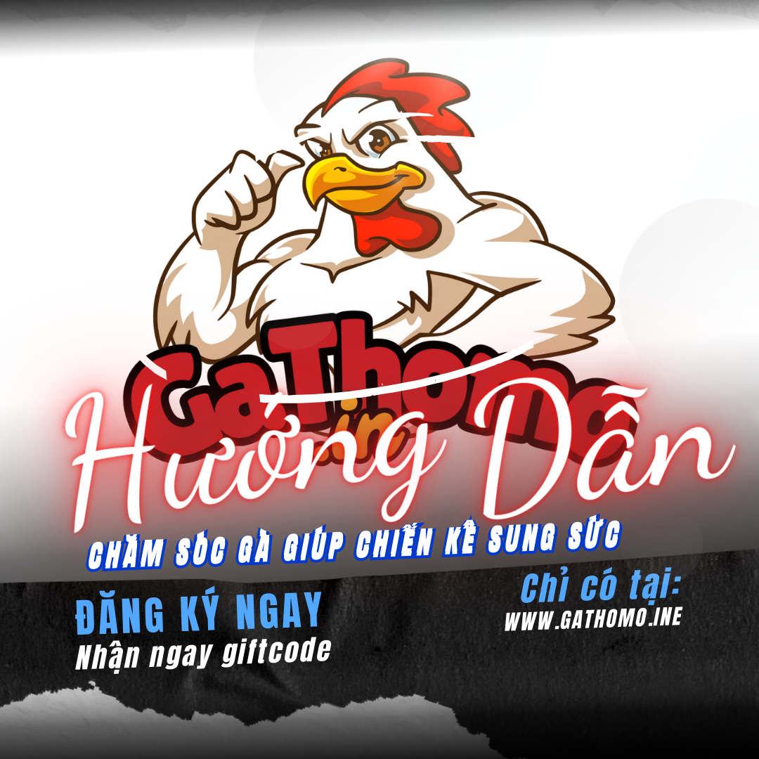 Hướng Dẫn Chăm Sóc Gà Giúp Chiến Kê Sung Sức Cùng Gà Thomo 2025