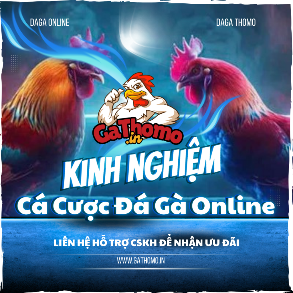 Kinh Nghiệm Đặt Cược Đá Gà Online Tại Gà Thomo