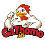 Gà Thomo