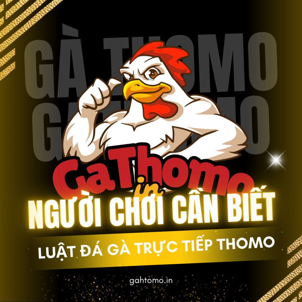 Luật đá gà trực tiếp Thomo bạn cần biết