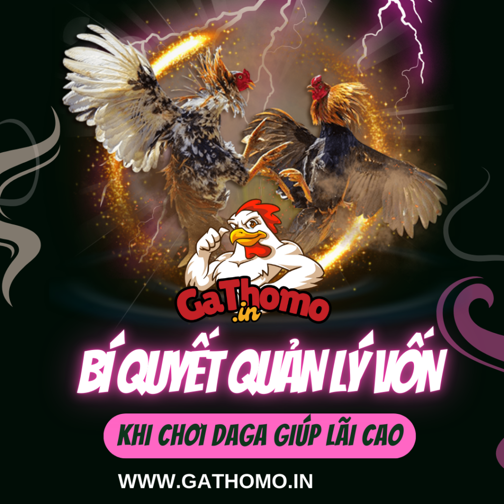 Bí Quyết Quản Lý Vốn Khi Chơi Đá Gà Online – Gà Thomo Chia Sẻ