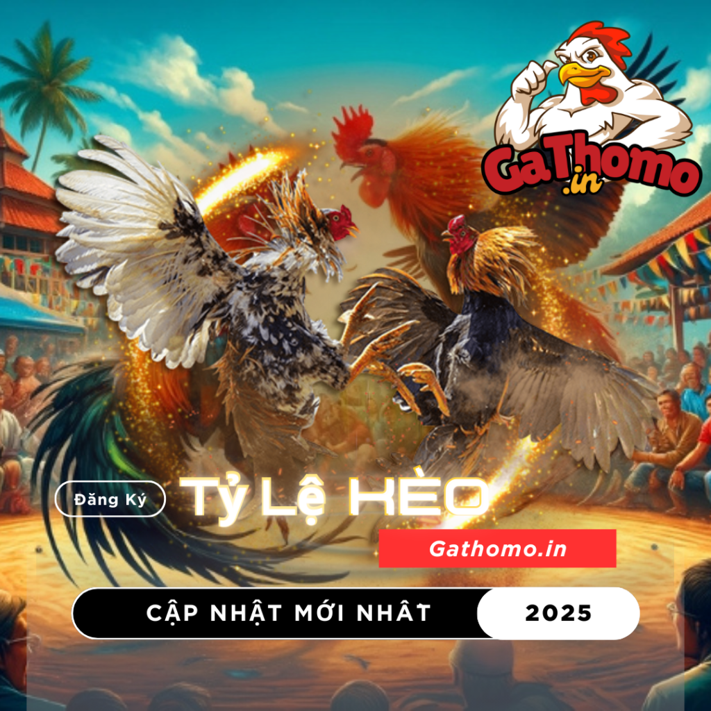 Tỷ Lệ Kèo Tại Gà Thomo Cập Nhật Mới Nhất (Tháng 3/2025)