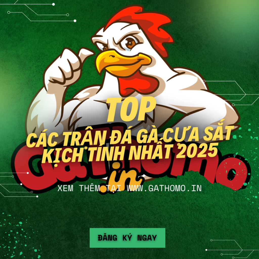 Các Trận Đá Gà Thomo 2025