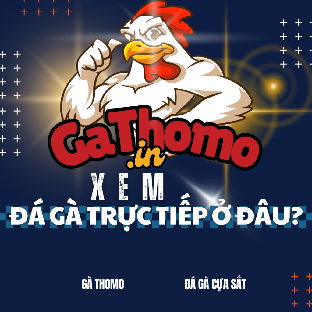 Người chơi có thể theo dõi đá gà trực tiếp ở đâu?