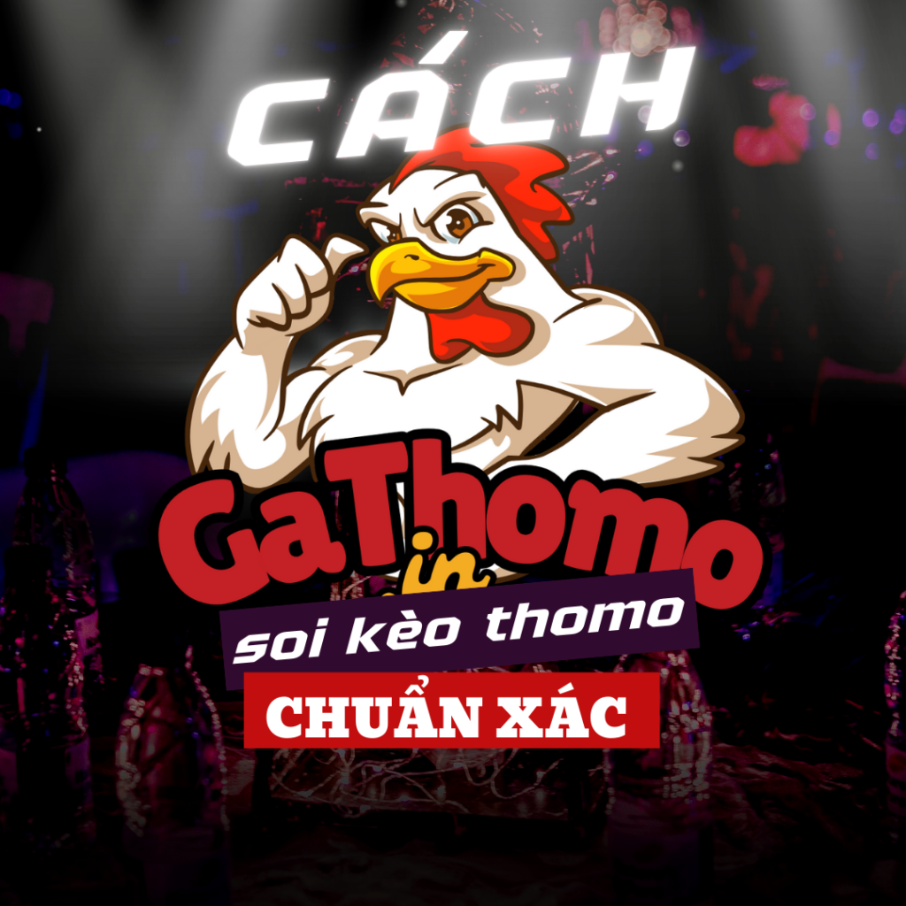 Cách soi kèo cá cược đá gà Thomo chuẩn xác nhất