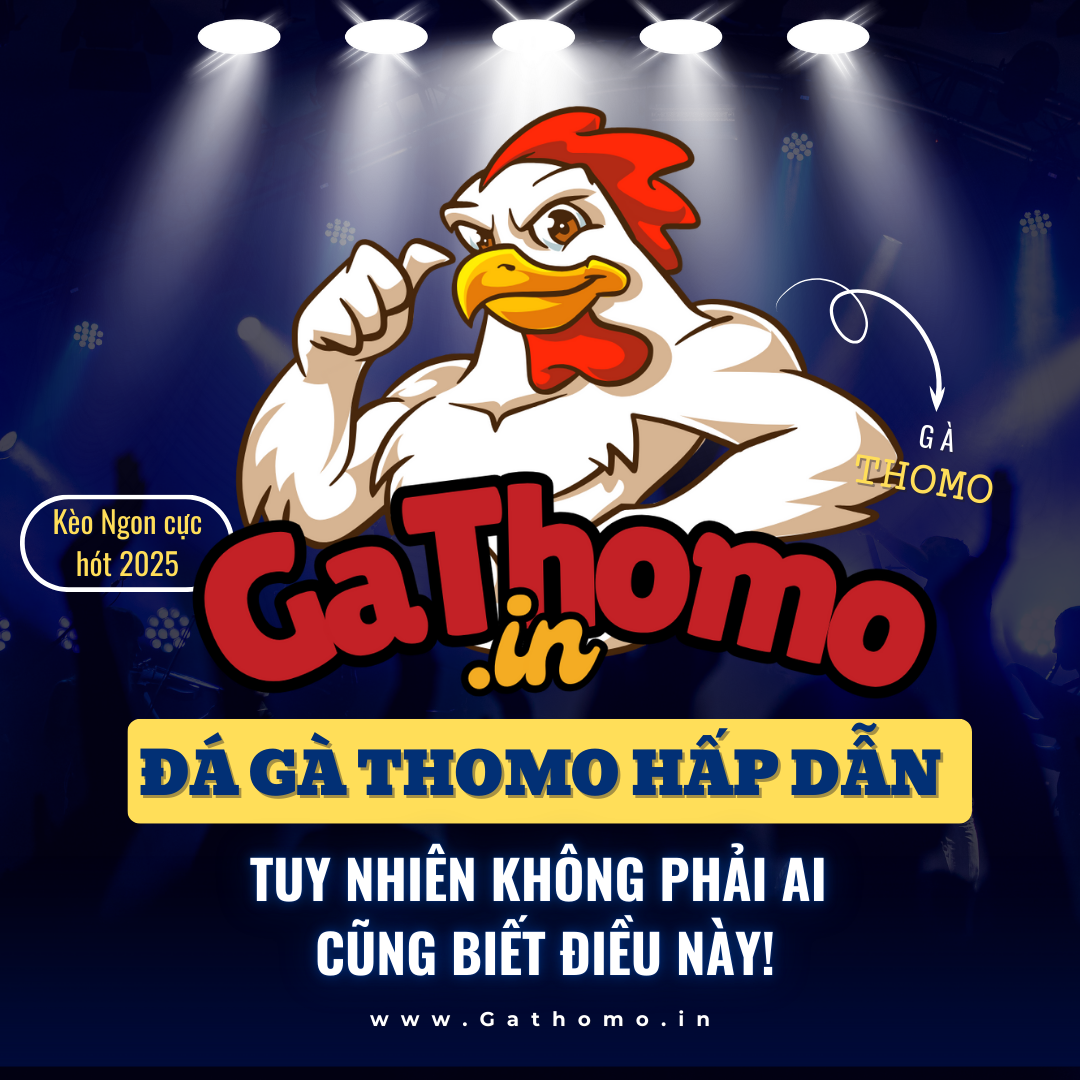 Đá gà Thomo hấp dẫn, tuy nhiên không phải ai cũng biết điều này!
