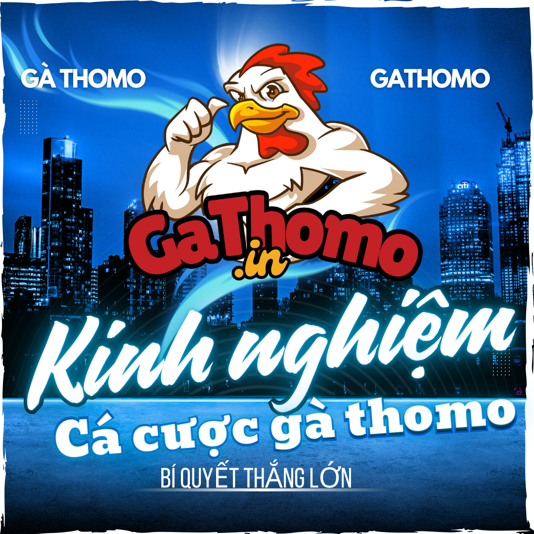 Kinh nghiệm cá cược Gà Thomo – Bí quyết thắng lớn
