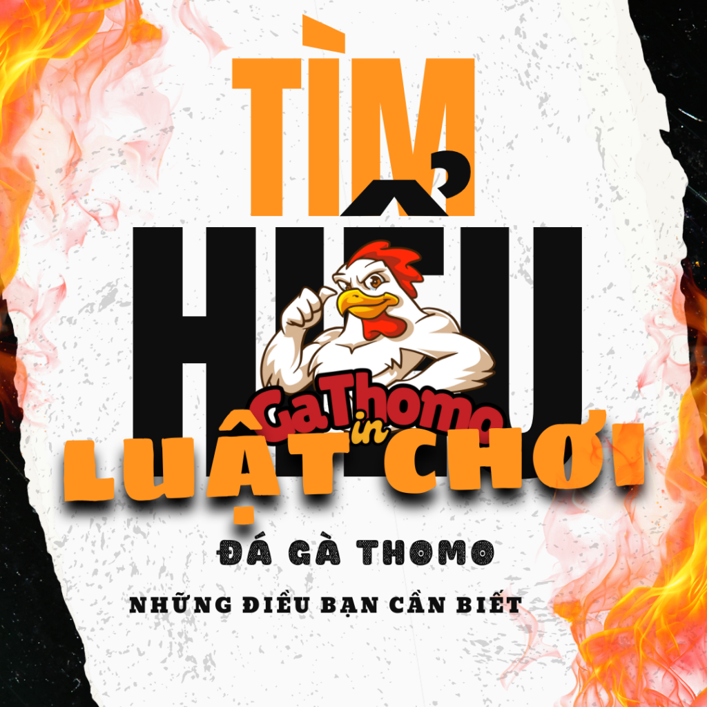 Tìm hiểu luật chơi đá gà Thomo – Những điều bạn cần biết